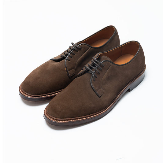 Alden | 9503 Plain Toe Blucher Dark Brown Suede