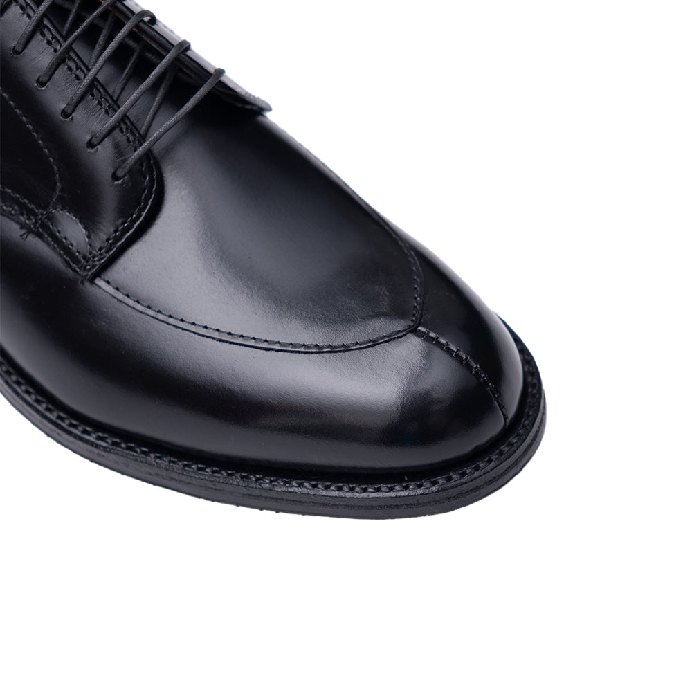 Alden | A1614L OAK ROOM Limited V-tip Blucher Black Calf