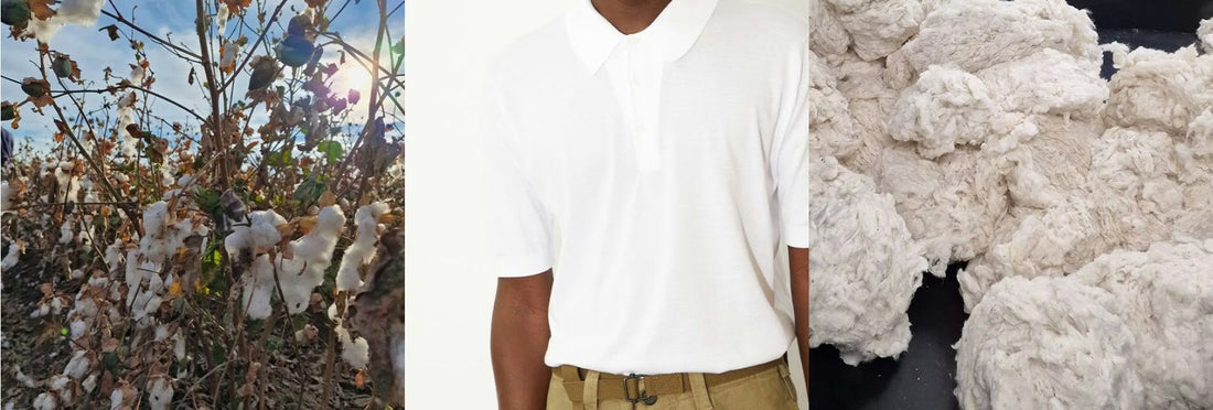 John Smedley 的海島棉 POLO 衫，如何賣一百年？