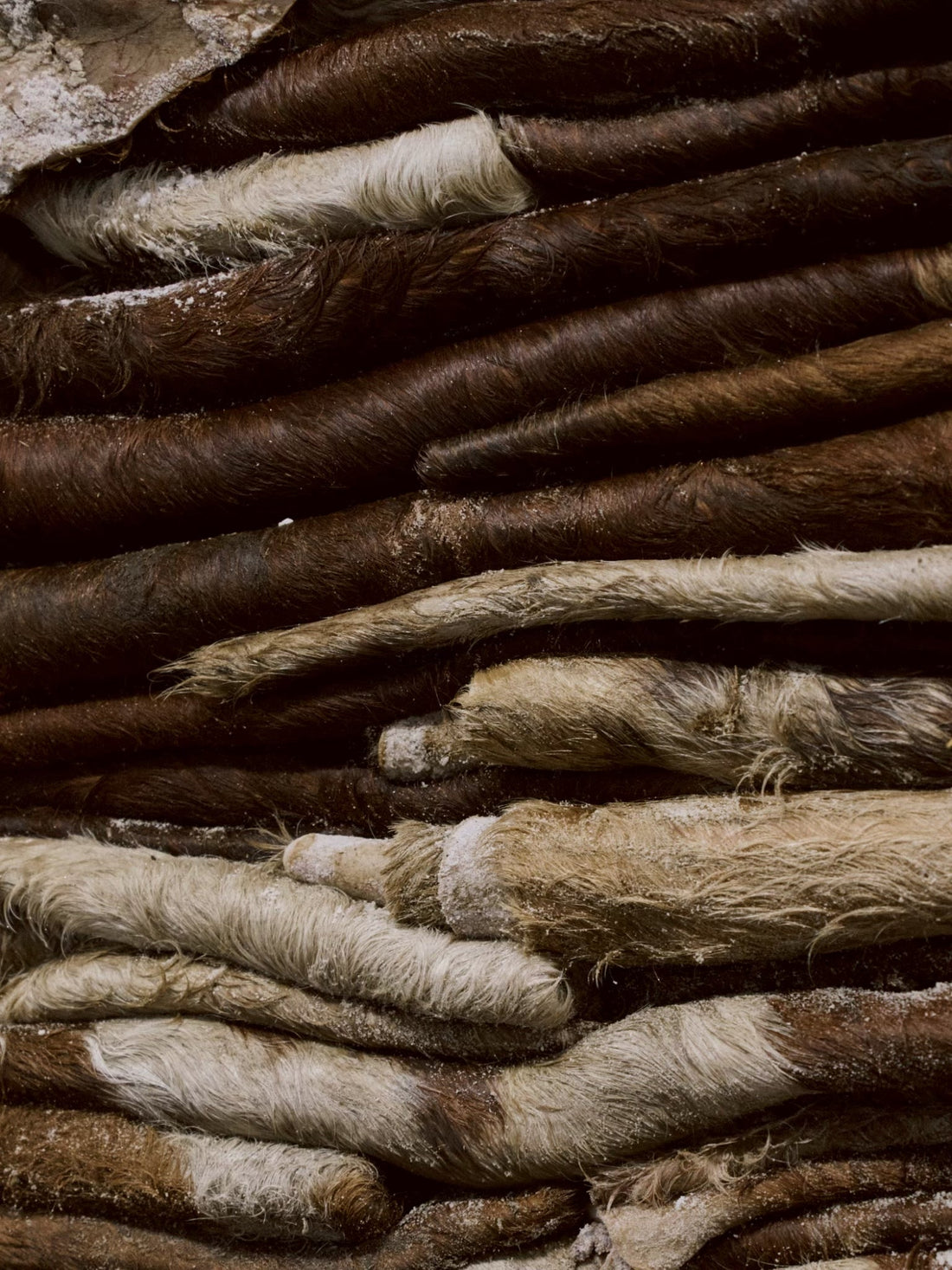 J.M. Weston 百年工藝核心 : 自有皮革廠