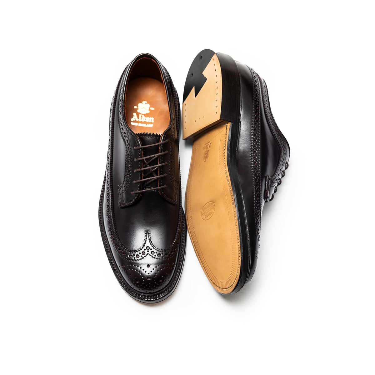Alden | 975 Long Wing Blucher Color 8 Shell Cordovan