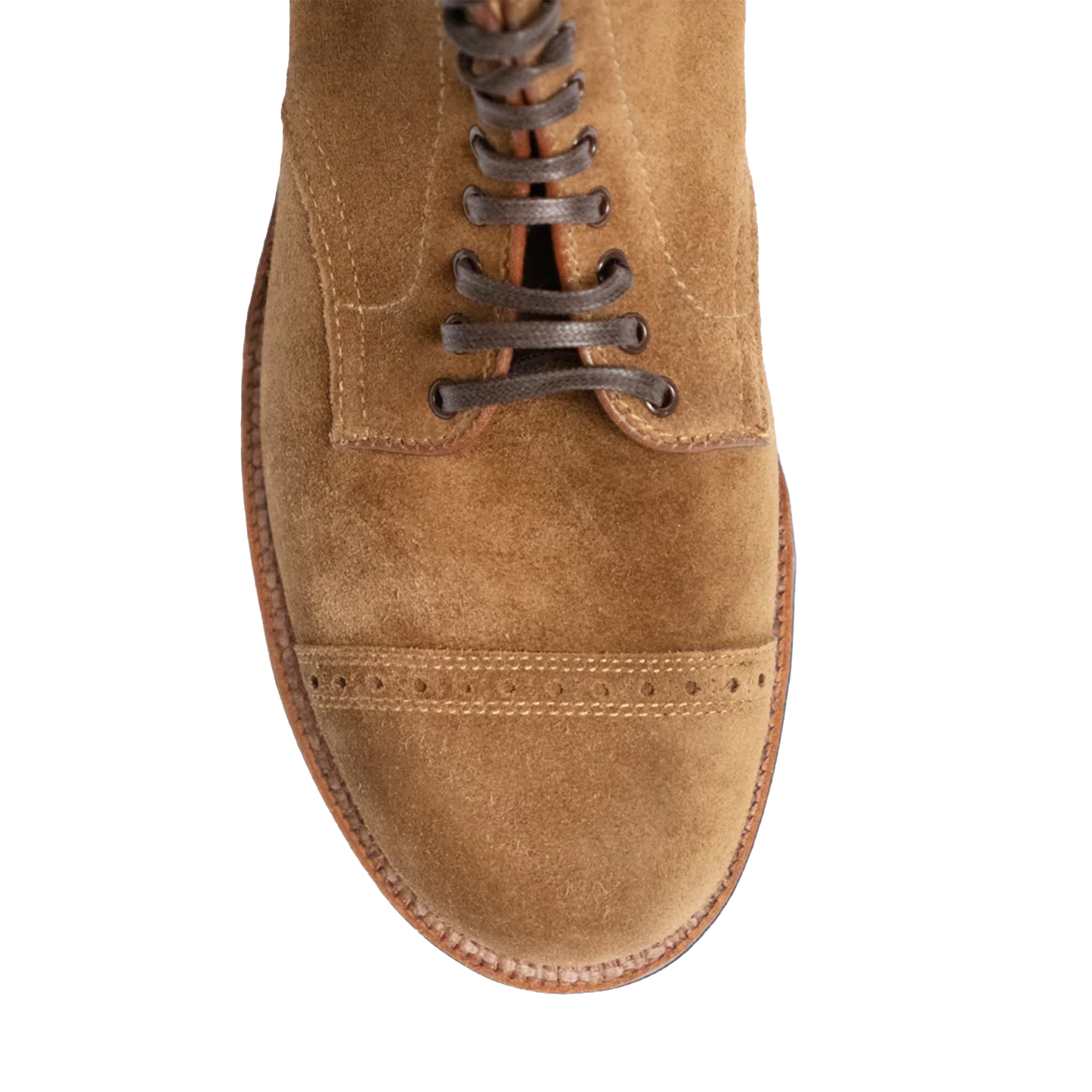 Alden | A0814 OAK ROOM Limited Cap Toe Boots Snuff Suede