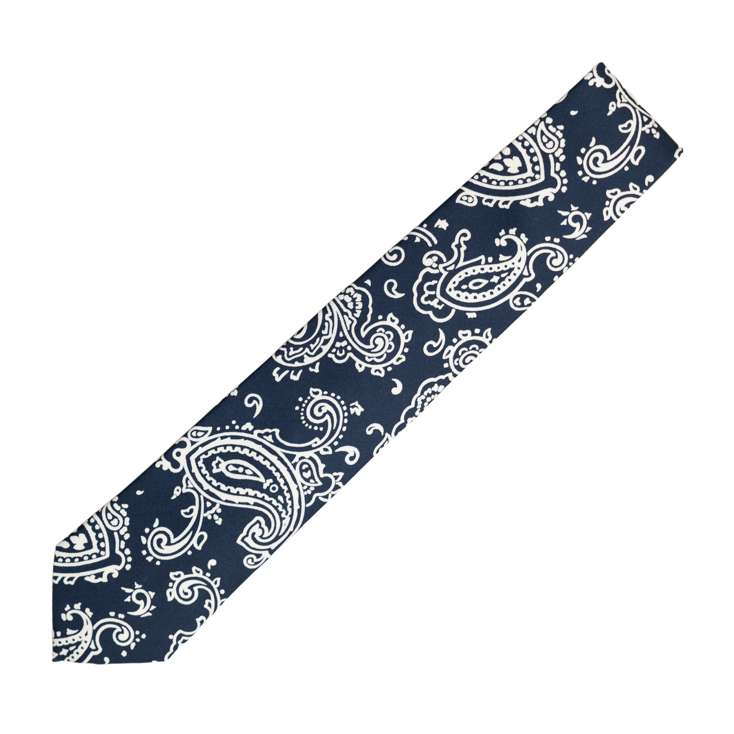 Holliday & Brown | Bold Paisley Tie Navy E2513 1