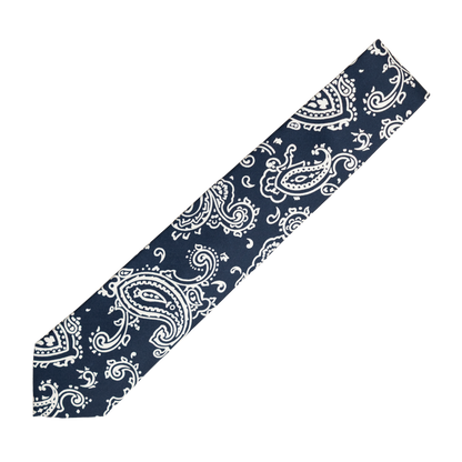 Holliday & Brown | Bold Paisley Tie Navy E2513 1