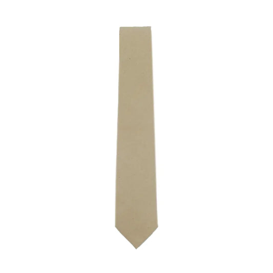 Holliday & Brown | Shantung Silk Tie in Beige FA893 4